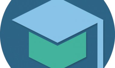 Age and education affect career mobility