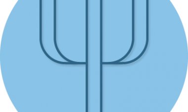 Prepare for a career in psychology